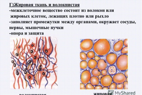 Актуальное зеркало kraken